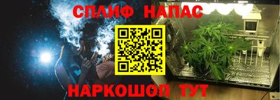ешки Краснознаменск