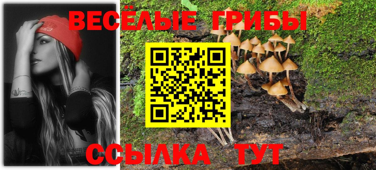 Галлюциногенные грибы GOLDEN TEACHER Коммунар