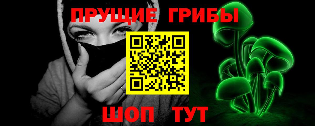 Псилоцибиновые грибы прущие грибы  Вход с VPN  цена   Коммунар 